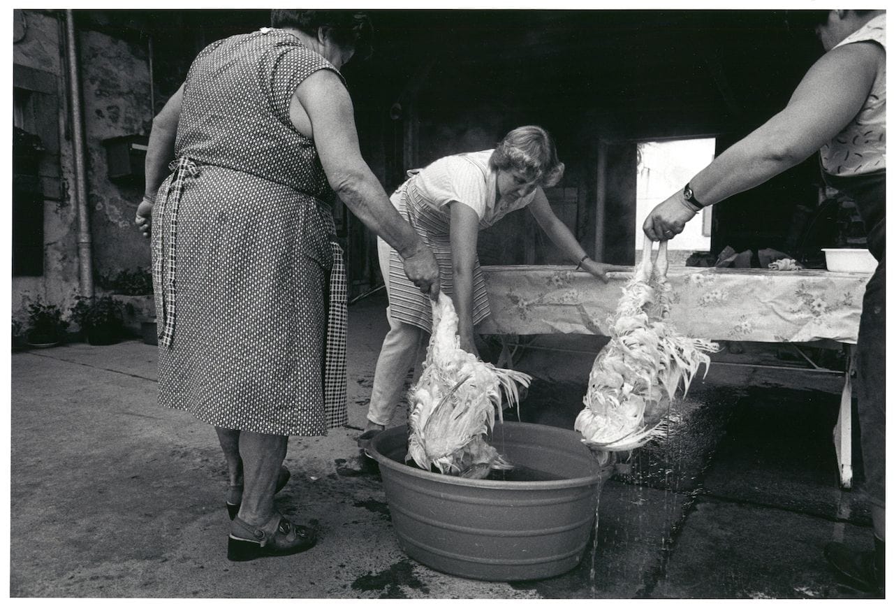 Monique Jacot, Peney-le-Jorat 1988, Silbergelatineabzug, © Monique Jacot / Fotostiftung Schweiz, Winterthur