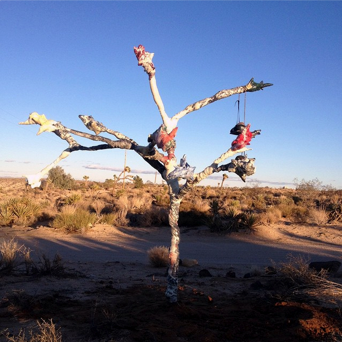 Christian Tedeschi's Tree (via Outpost Project's Instagram)