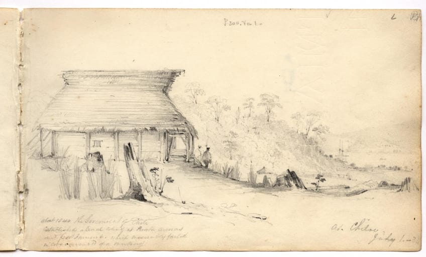 Page from Conrad Martens' Sketchbooks (1833-1835) (courtesy Cambridge University Library)