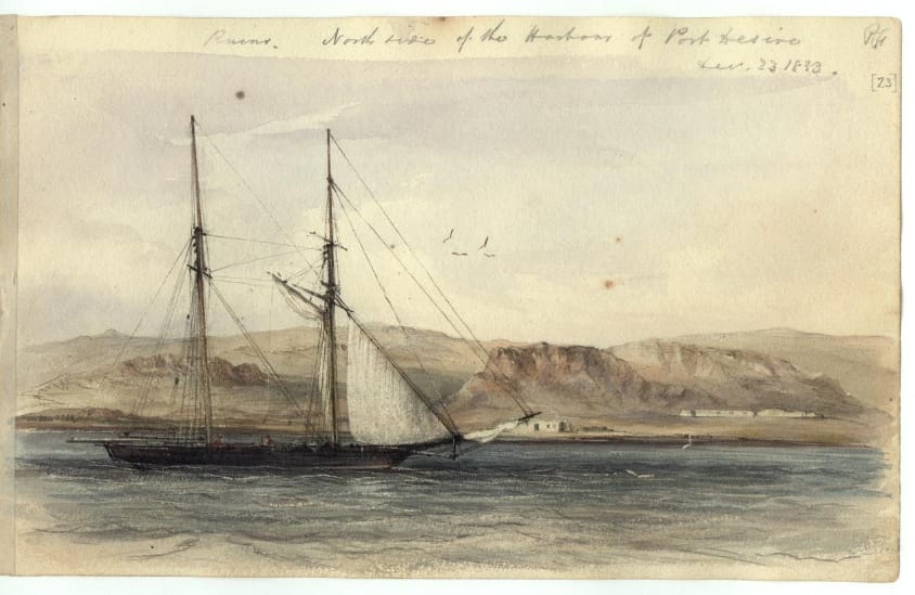 Page from Conrad Martens' Sketchbooks (1833-1835) (courtesy Cambridge University Library)