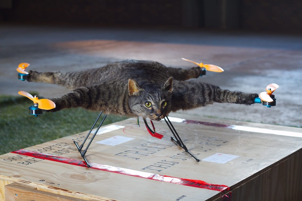 Bart Jansen, "Orvillecopter" (2012) (photo by Dennis van Zuijlekom/Flickr)