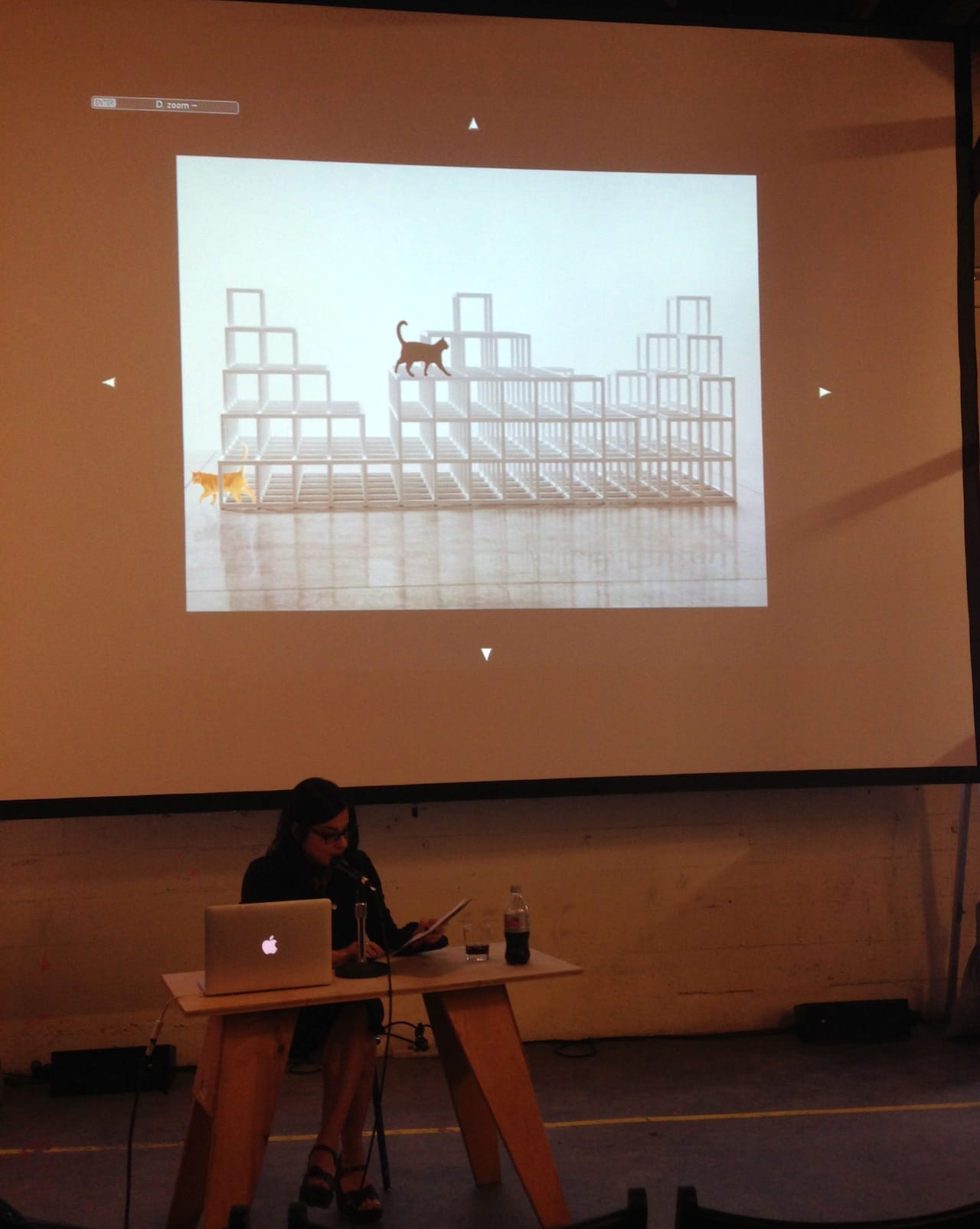 Rhonda Lieberman in front of an image of a Sol LeWitt with cats