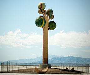Photo of Metaphor: The Tree of Utah