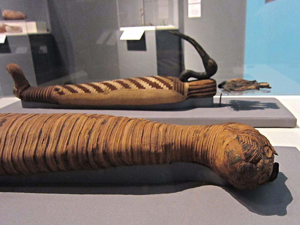 'Soulful Creatures: Animal Mummies in Ancient Egypt' at the Memphis Brooks Museum of Art