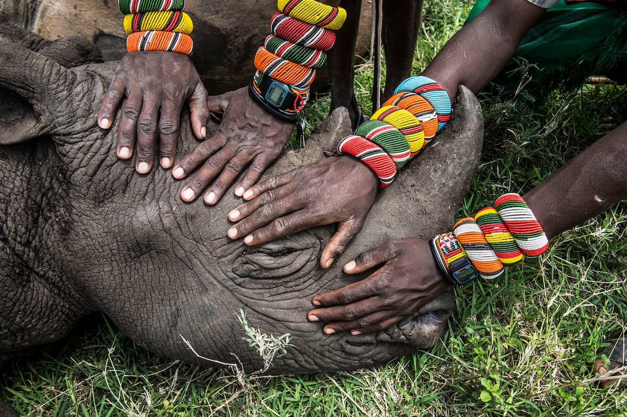 Second Prize Nature Category, Singles Ami Vitale, USA, National Geographic Lewa Downs, Northern Kenya Caption: A group of young Samburu warriors encounter a rhino for the first time in their lives. Most people in Kenya never get the opportunity to see the wildlife that exists literally in their own backyard. Story: organized by sophisticated, heavily armed criminal networks and fueled by heavy demand from newly minted millionaires in emerging markets, poaching is devastating the great animals of the African plains. Much needed attention has been focused on the plight of wildlife and the conflict between poachers and increasingly militarized wildlife rangers, but very little has been said about the indigenous communities on the frontlines of the poaching wars and the work that is being done to strengthen them. These communities hold the key to saving Africa’s great animals.