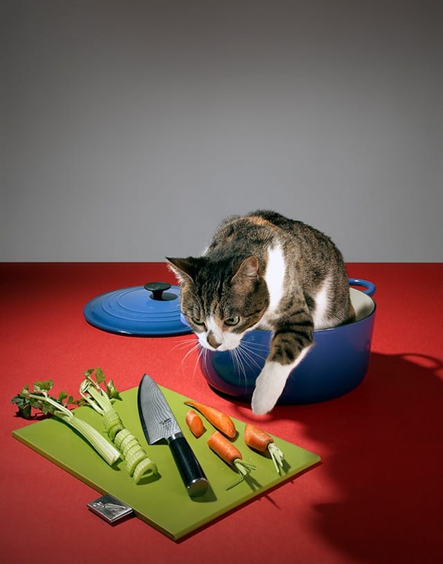 "Maurizio Cattelan" (All images courtesy of Zachary Zavislak/MBK)