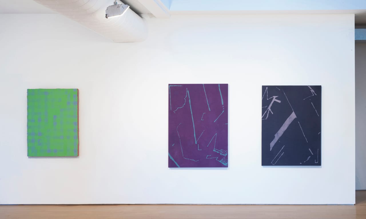 Installation View: Cheryl Donegan Paintings and Videos.