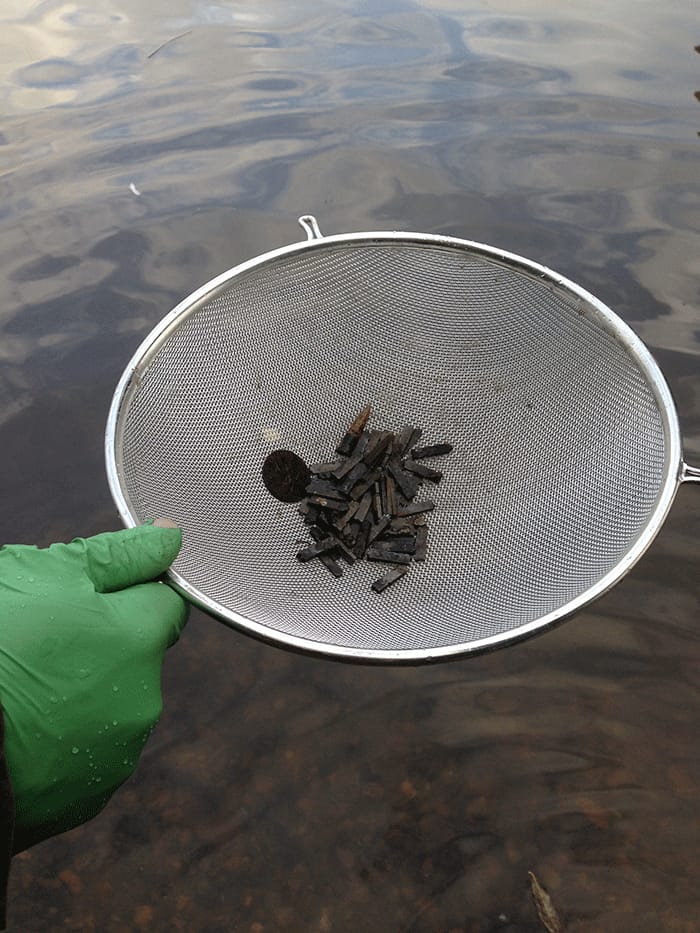 The Doves Press type sifted from the Thames (via Typespec)