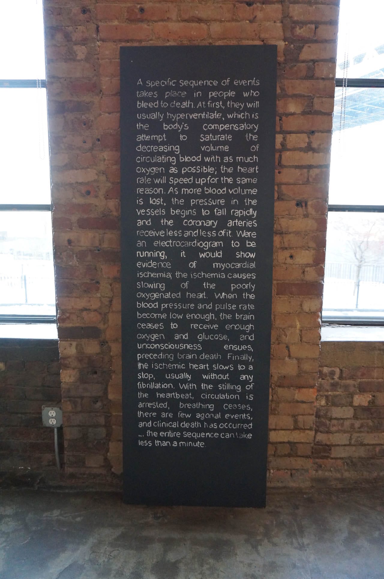 Jean Seestadt, "M. Brown, How We Die" (2014)