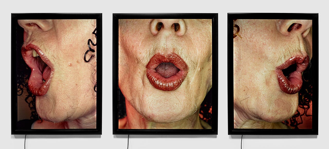 Suzy Lake, "Beauty at a Proper Distance/In Song" (2001–02), color transparencies (3), 140 x 122 cm each, collection of the artist (courtesy Georgia Scherman Projects, Toronto, © Suzy Lake)
