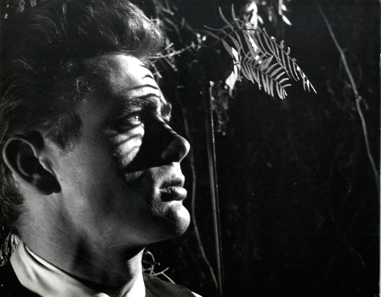James Dean. Still from director Elia Kazan's East of Eden. The Museum of Modern Art Film Stills Collection. All images courtesy of the Museum of Modern Art. 