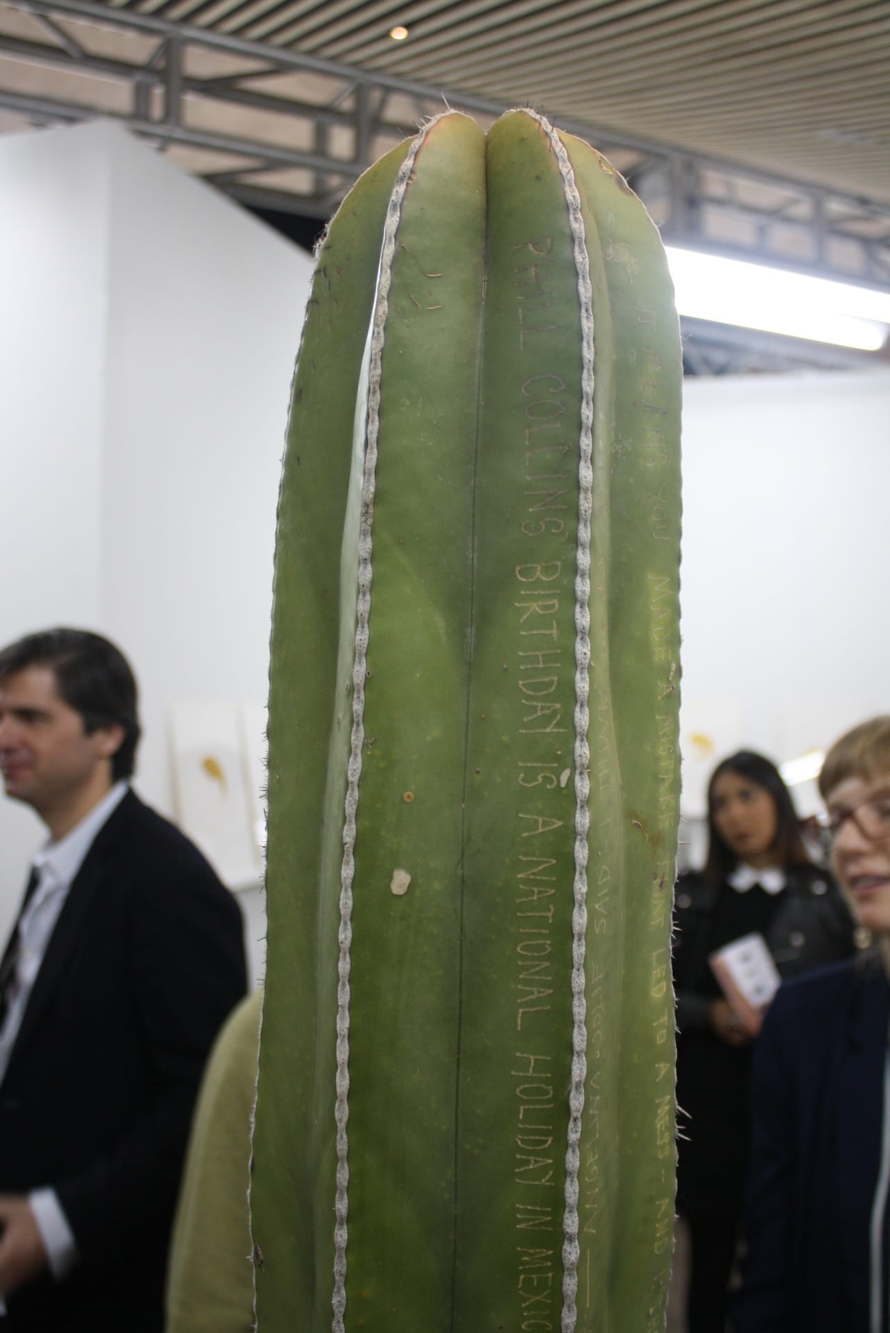 Tattooed cactus by There There at Regina Re's booth