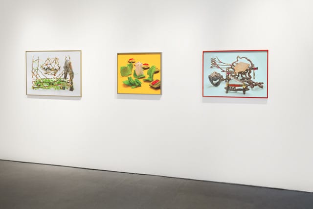 Benjamin Lord, installation view from The New Retail Mycology, on view at Monte Vista Projects, Los Angeles