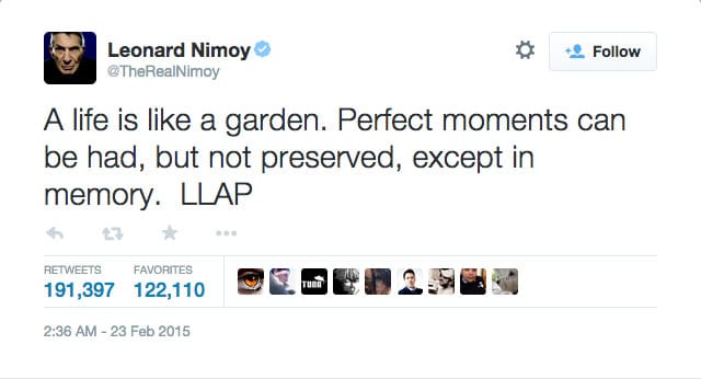 (screenshot via Twitter)