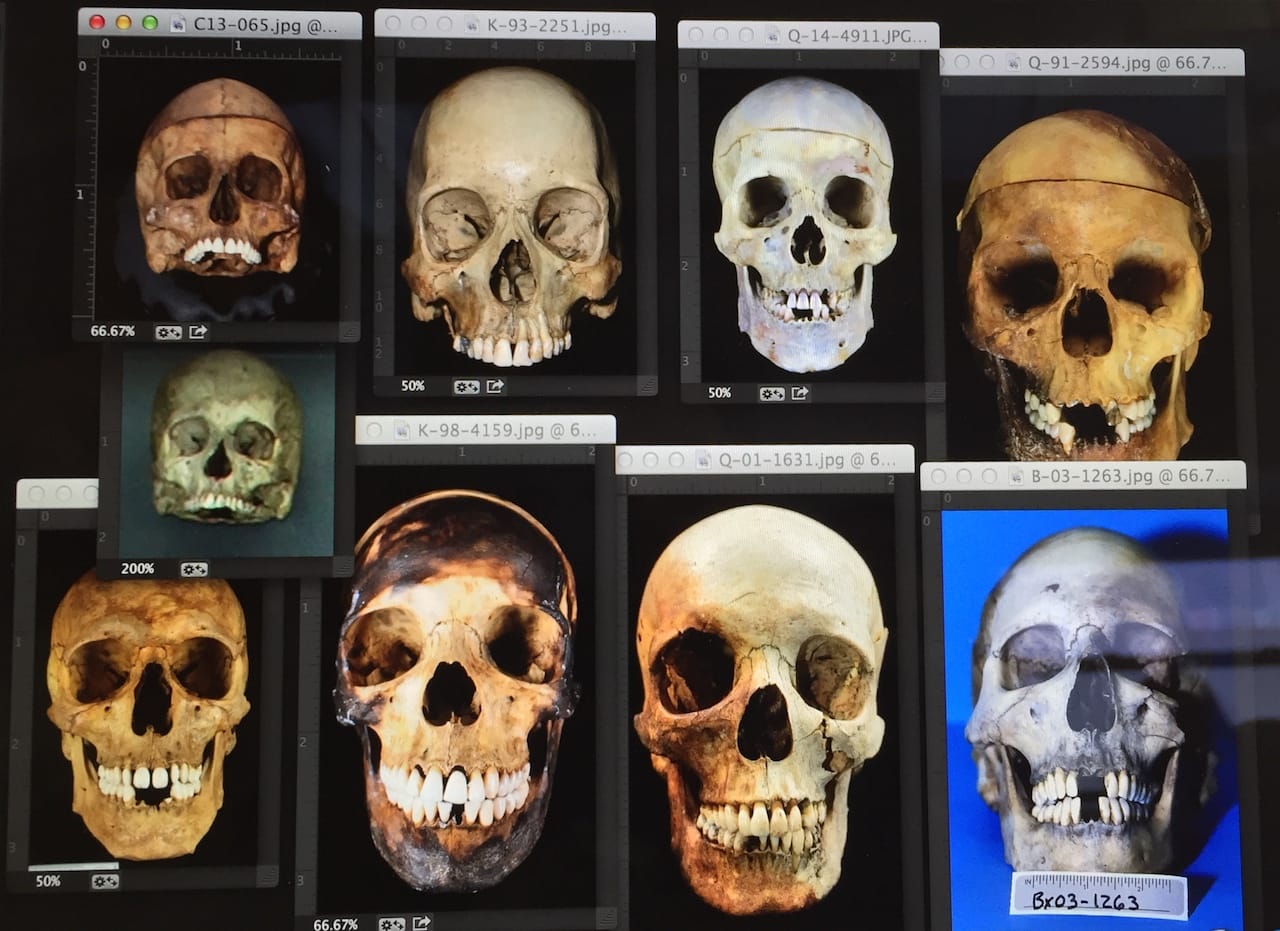 New York Academy of Art forensics (courtesy New York Academy of Art)