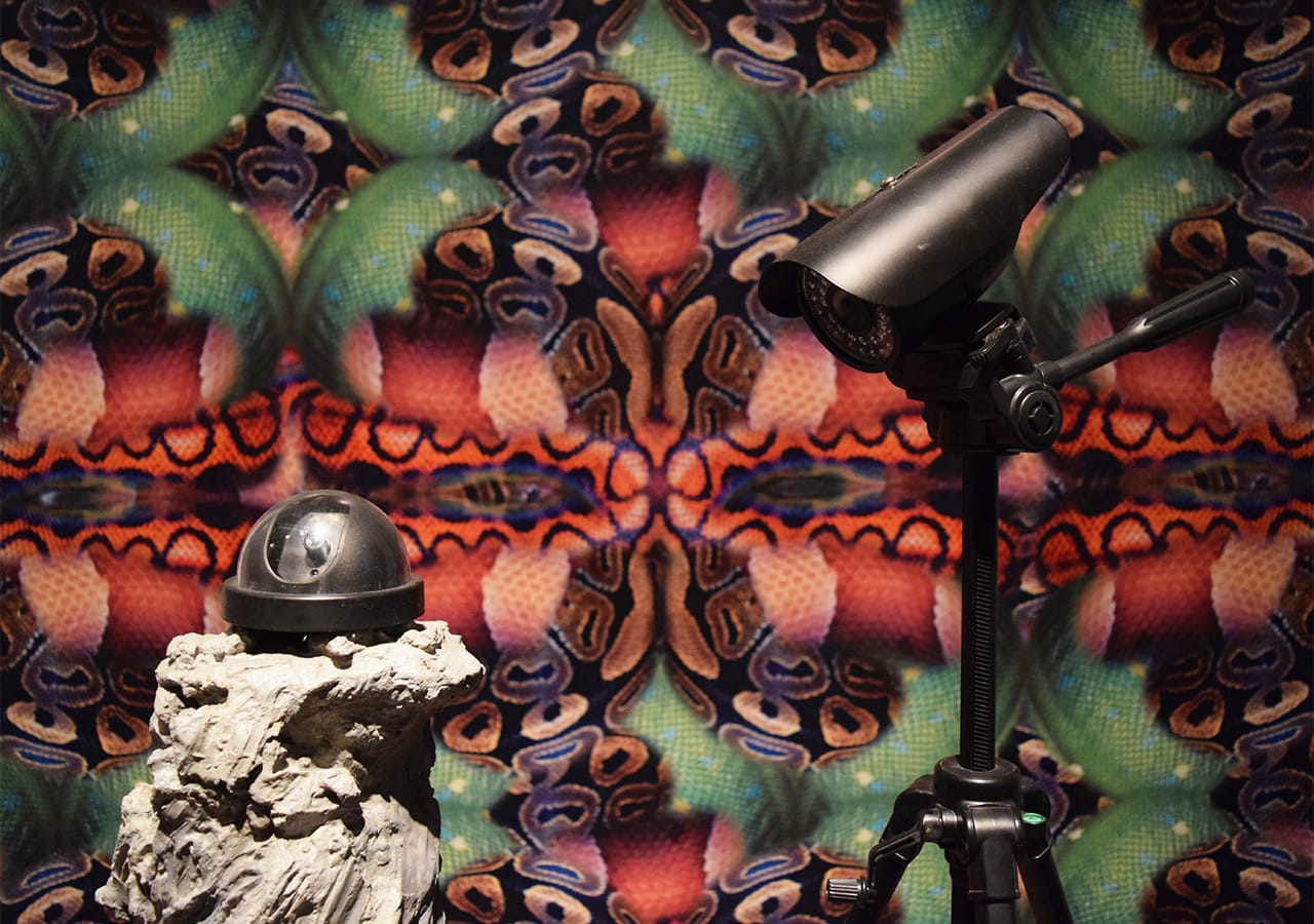 Detail of Guan Xiao, "The Documentary: Geocentric Puncture" (2012)