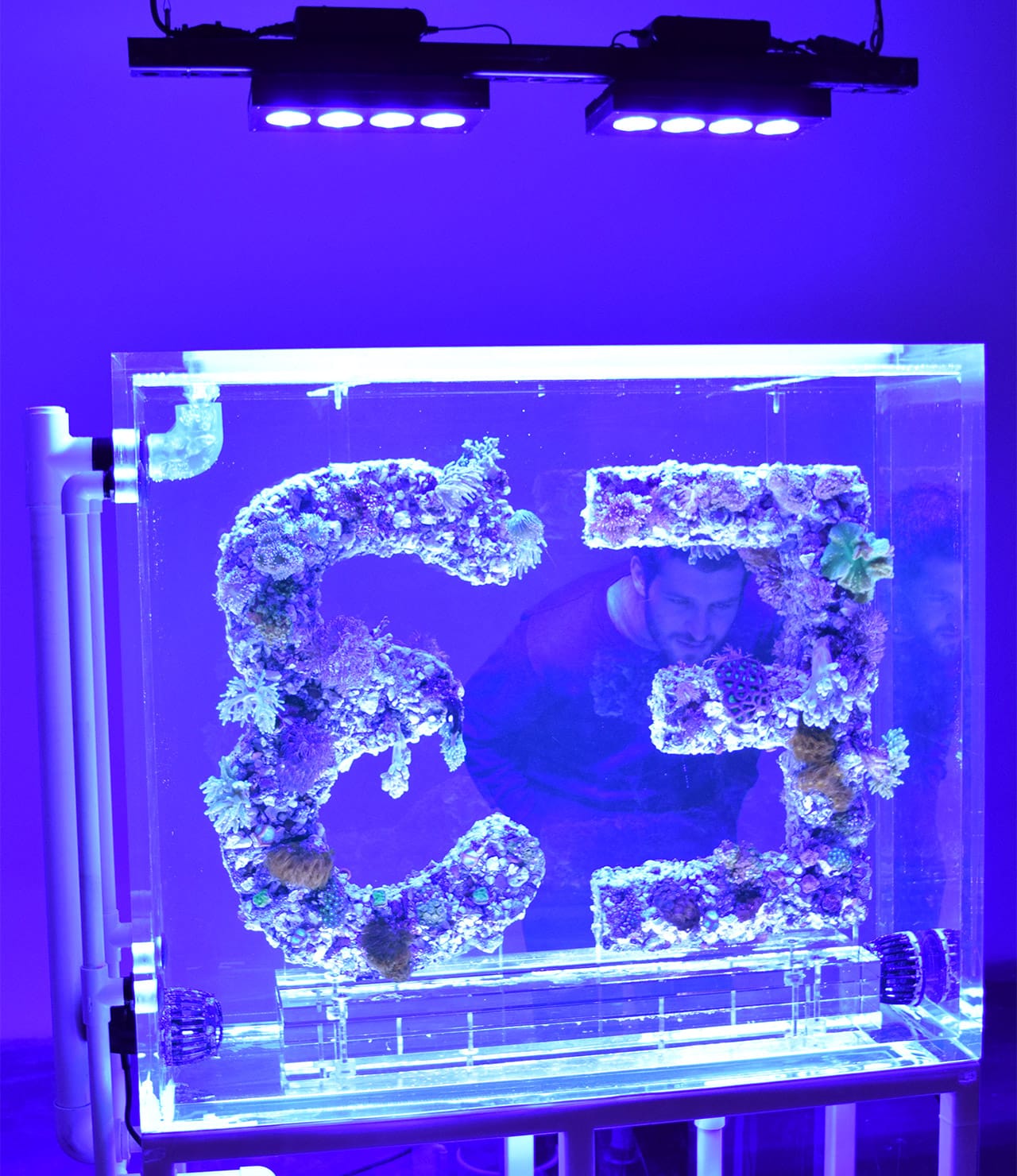 Antoine Catala, "Distant Feel" (2015)