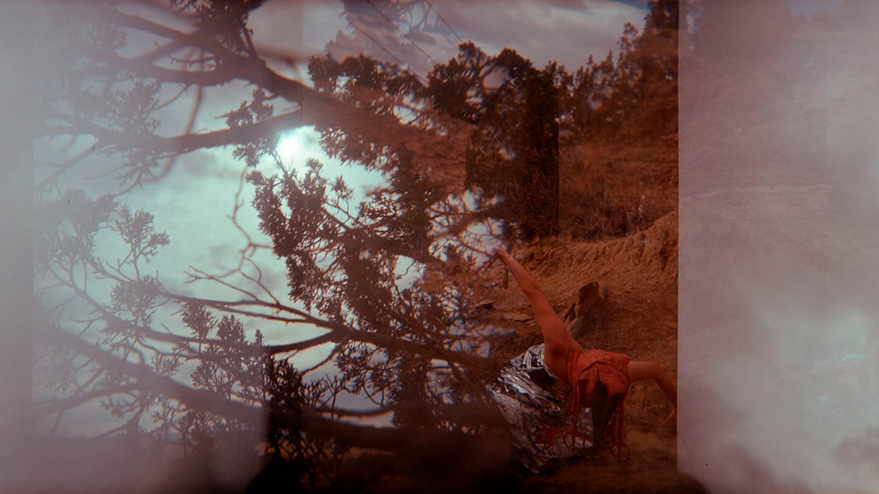 Quintan Ana Wikswo, "FIELDWORK"