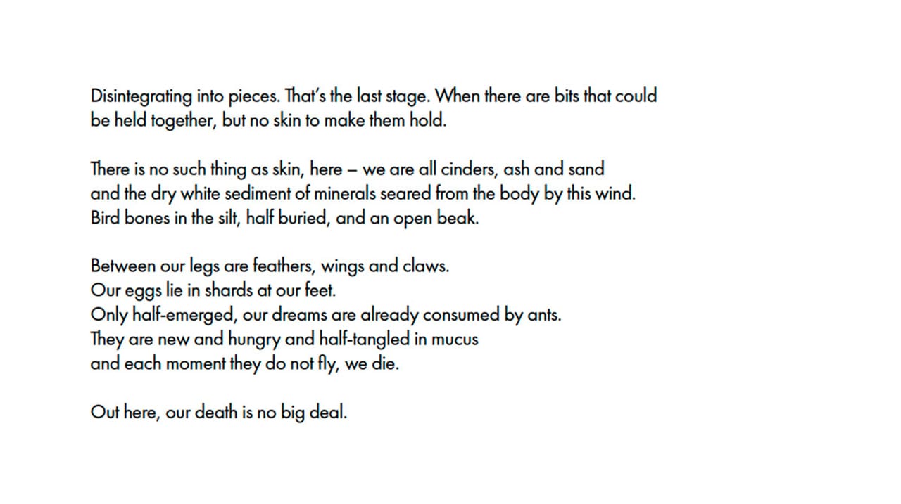 Quintan Ana Wikswo, "FIELDWORK"