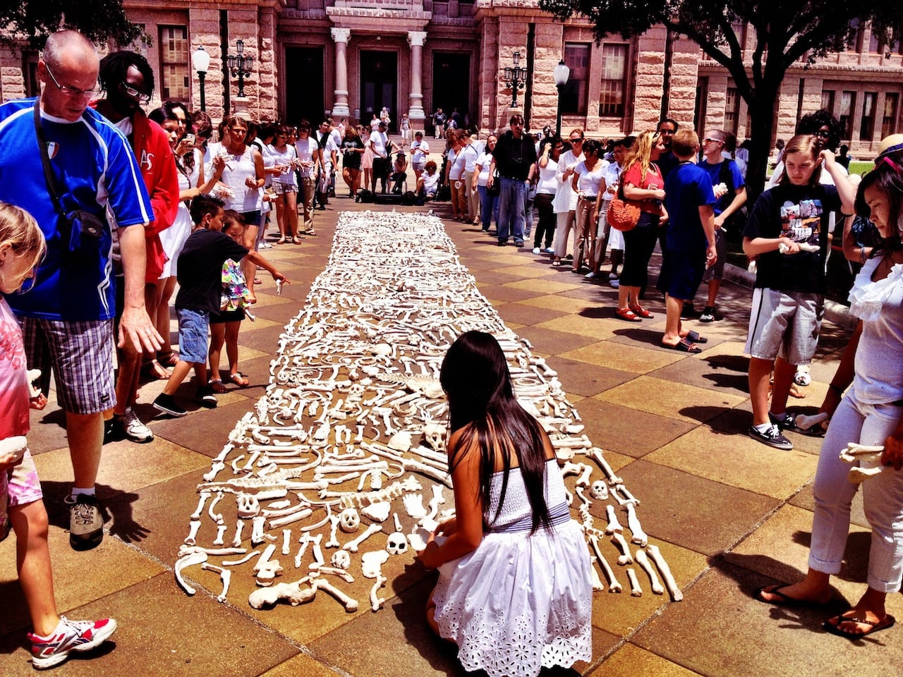 An installation of bones in front of the Texas State Capitol in Austin (Photograph by Emily Keating)