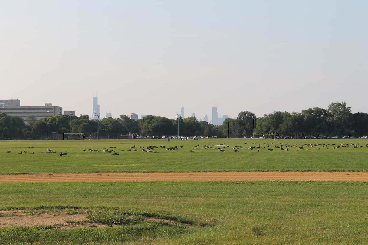 The Chicago skyline as seen from Washington Park (photo by Connie Ma/Flickr)