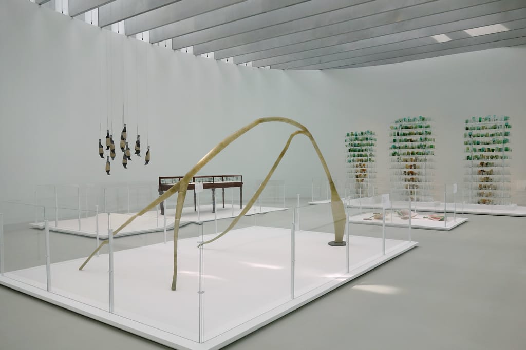 Corning Museum of Glass Contemporary Art + Design Wing