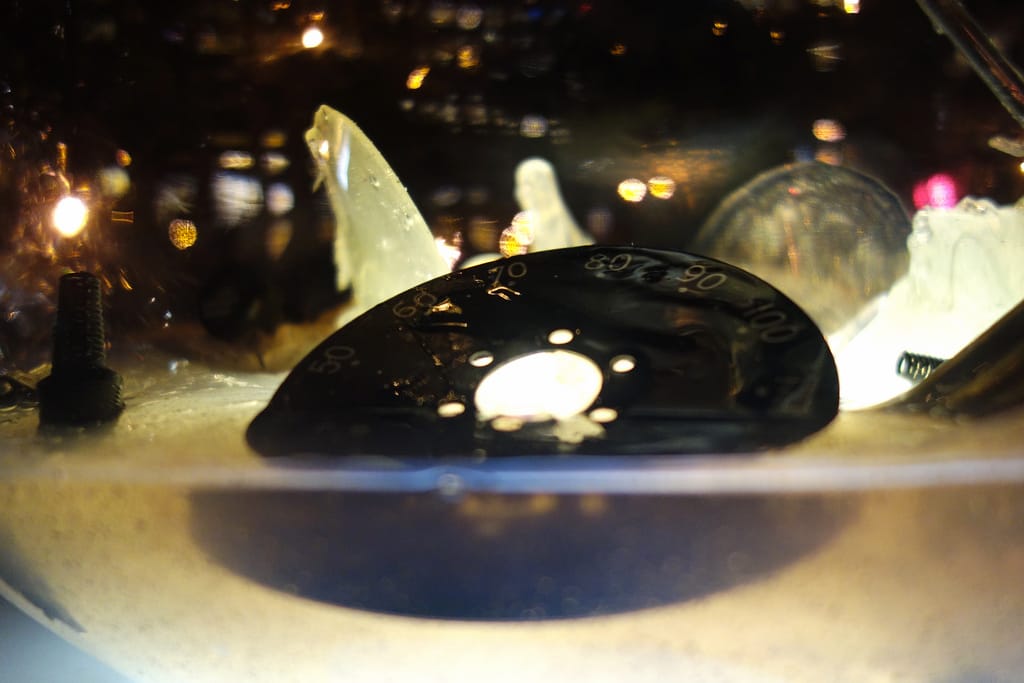 'Gazing Globes' by Paula Hayes in Madison Square Park