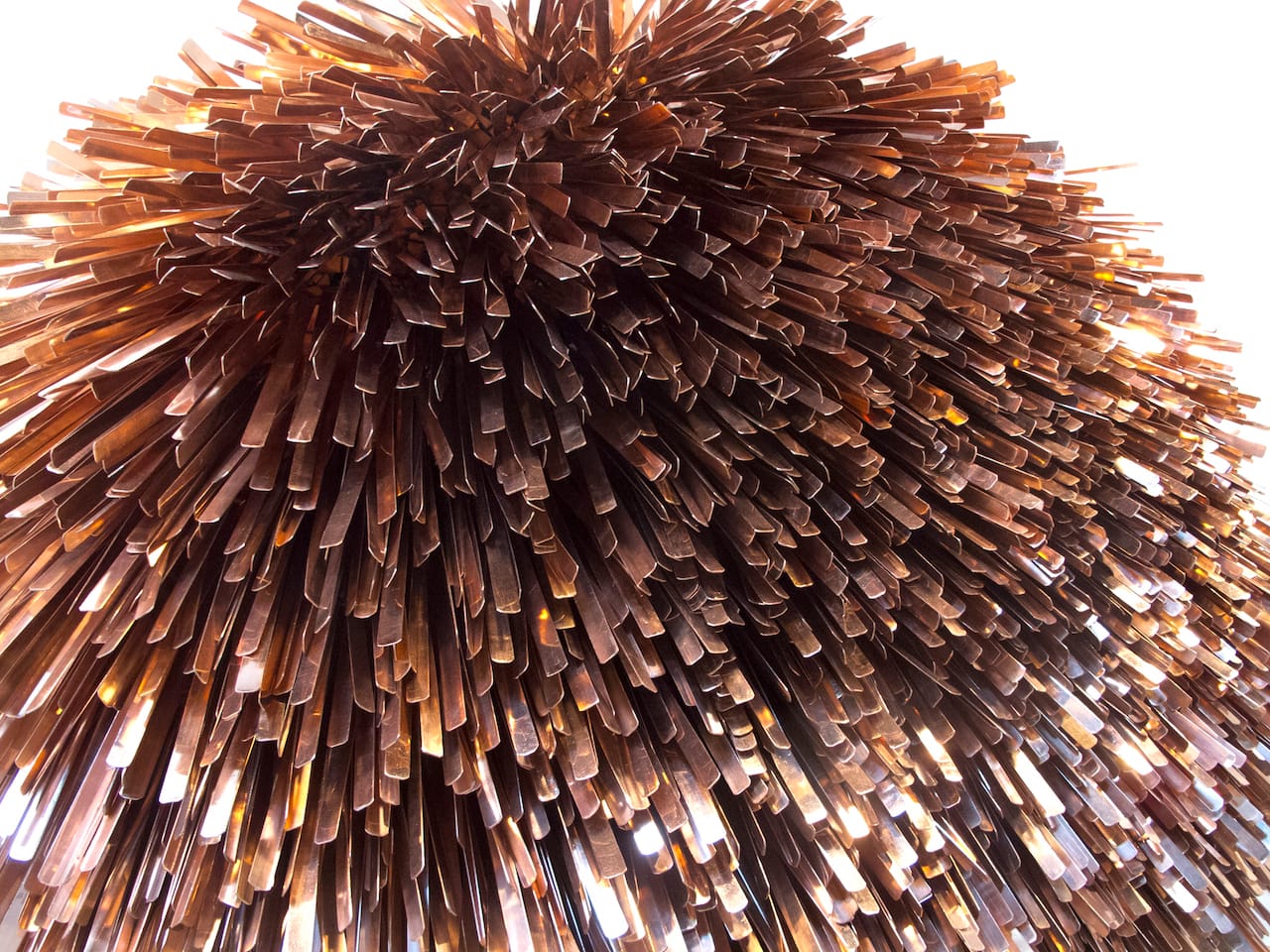 Gupta_Orangething-Detail