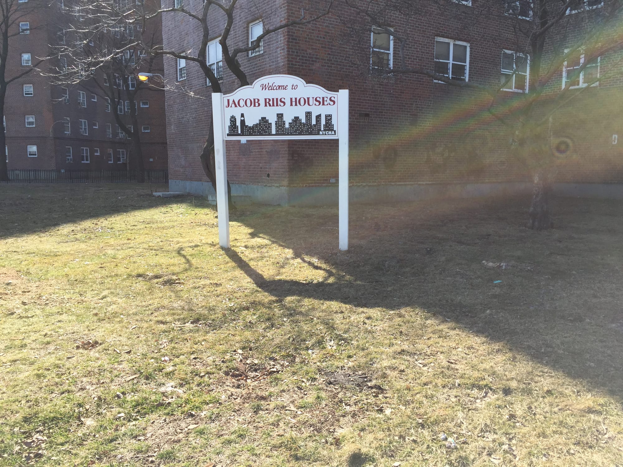 In front of the Jacob Riis houses, where the walk ended.