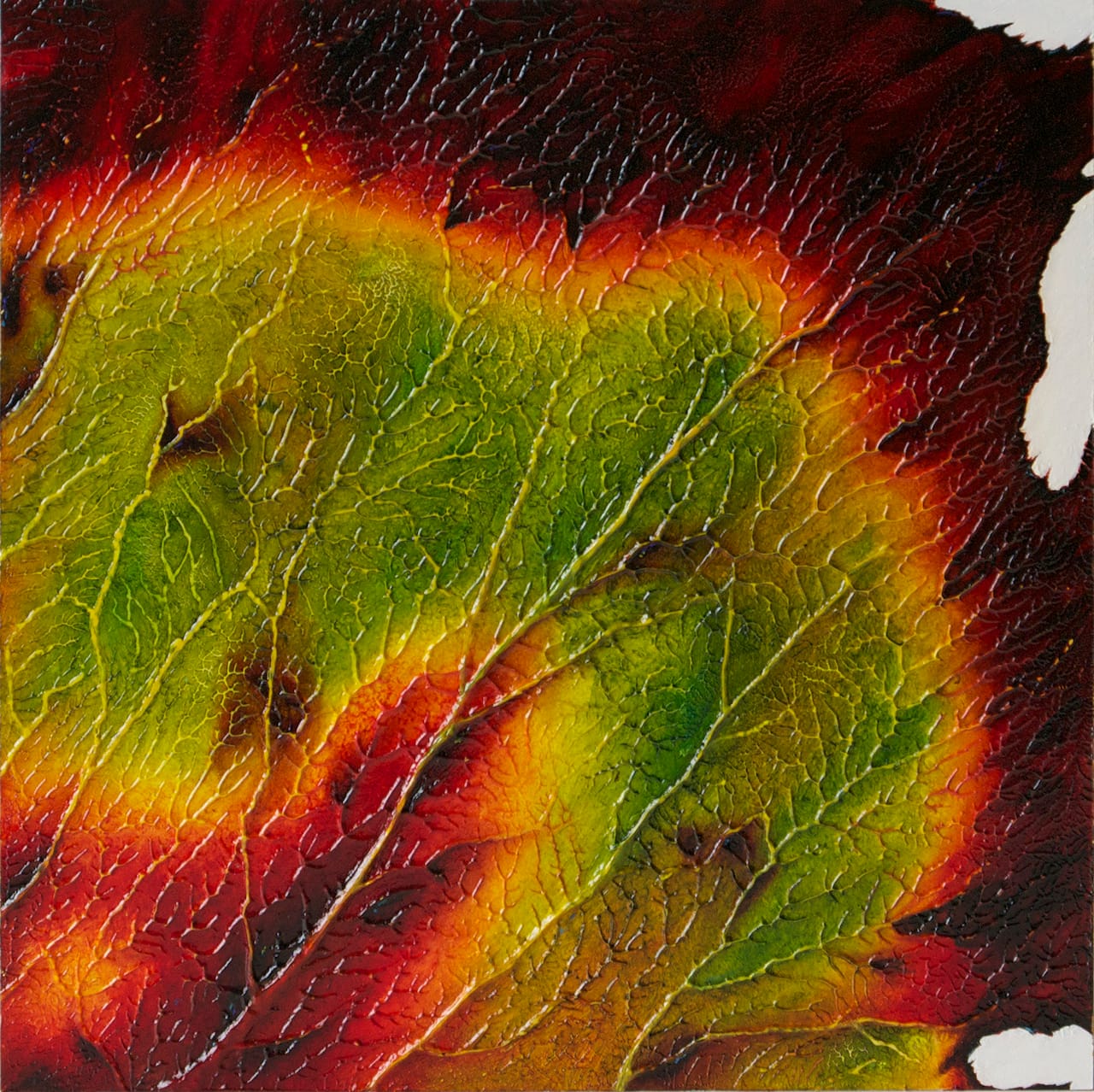 John Sabraw (b. 1968) Axioma I mixed media on wood panel, 2015 12 x 12 inches signed, dated and titled verso