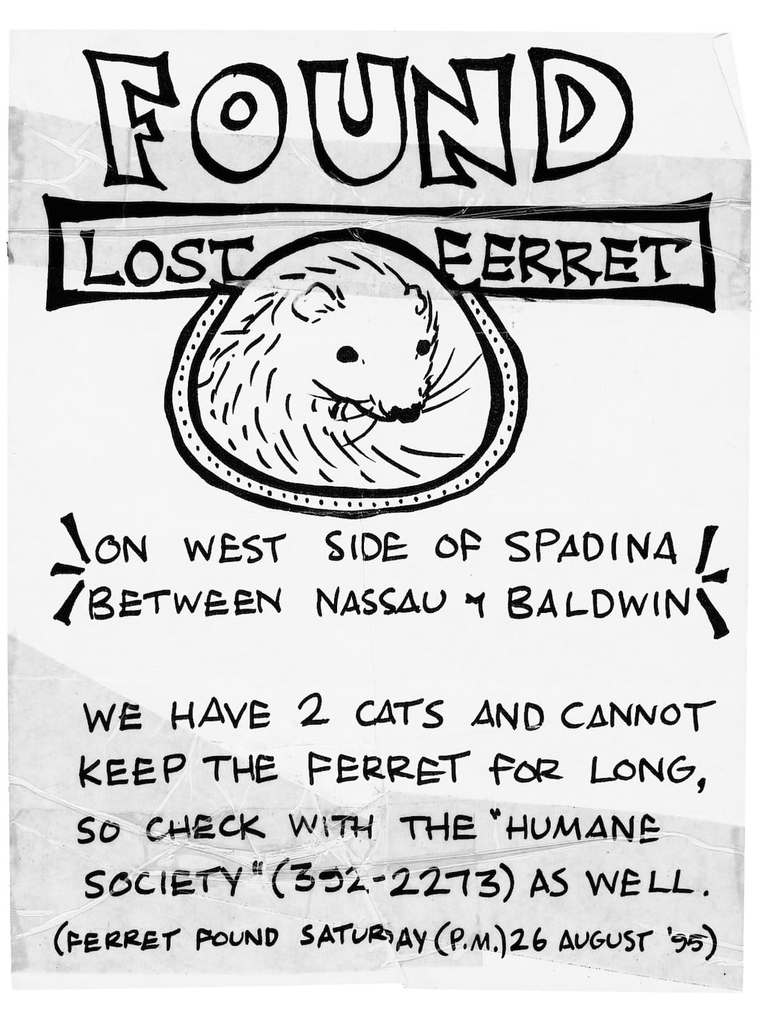 "Found: Lost Ferret from 'Lost: Lost and Found Pet Posters from Around the World' by Ian Phillips (courtesy Princeton Architectural Press, 2015)