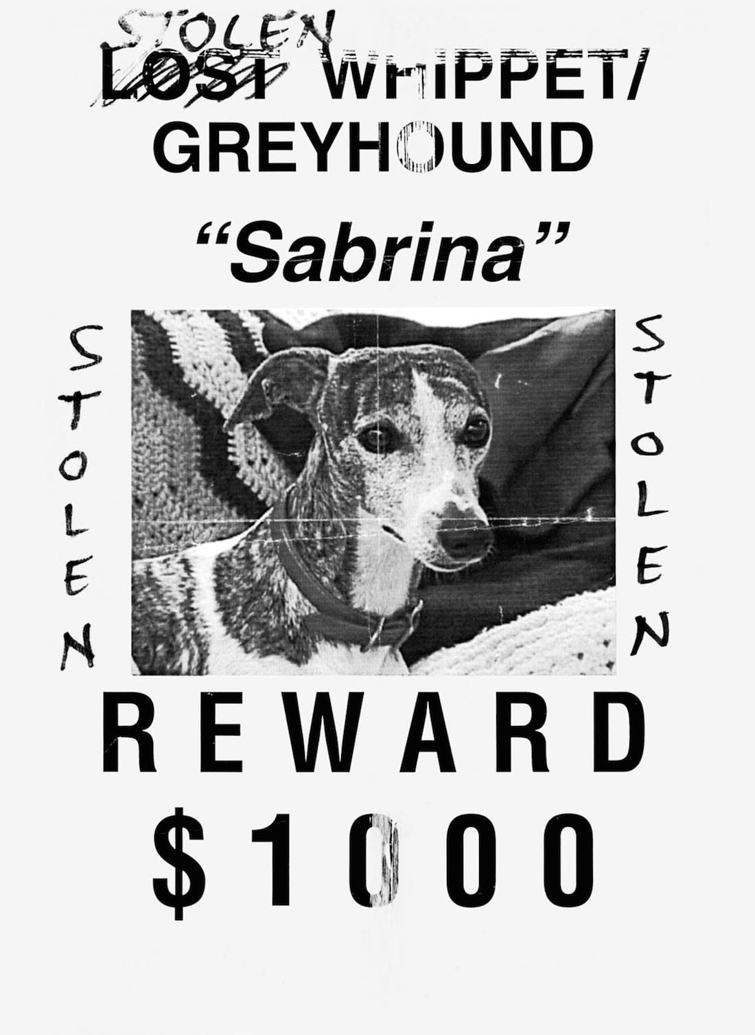 'Lost: Lost and Found Pet Posters from Around the World' by Ian Phillips (courtesy Princeton Architectural Press, 2015)