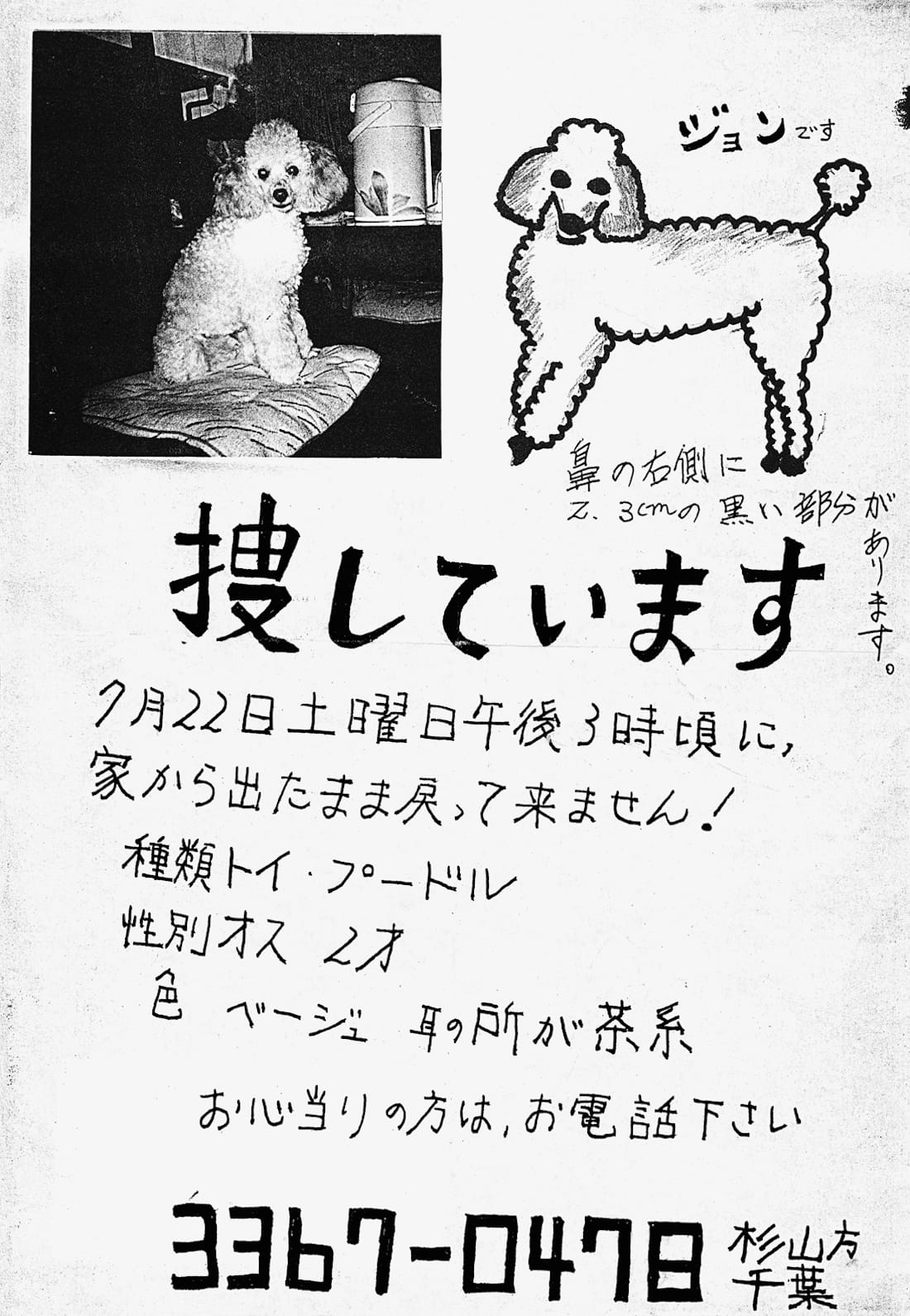 'Lost: Lost and Found Pet Posters from Around the World' by Ian Phillips (courtesy Princeton Architectural Press, 2015)