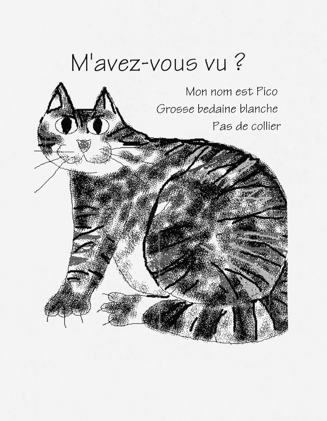 'Lost: Lost and Found Pet Posters from Around the World' by Ian Phillips (courtesy Princeton Architectural Press, 2015)