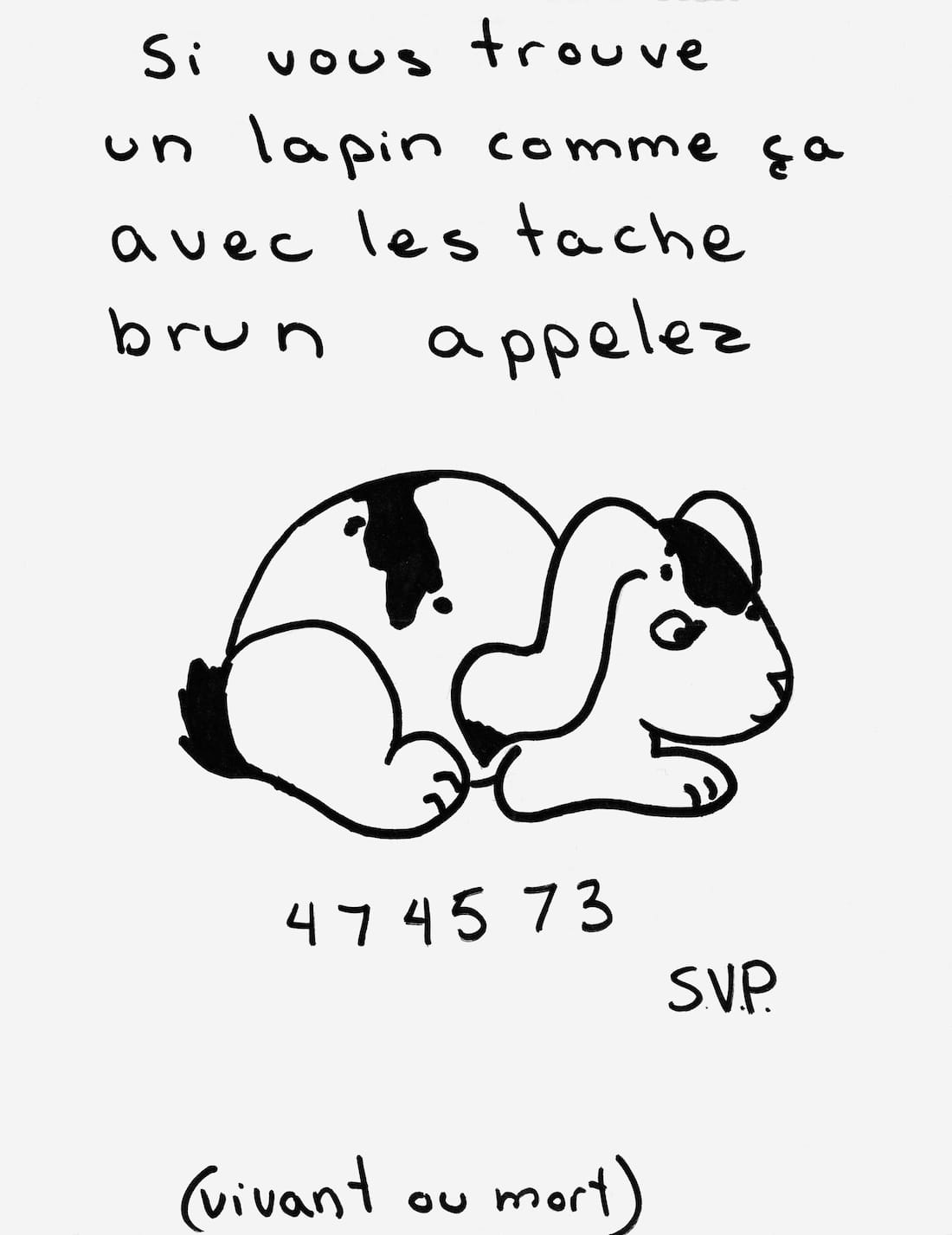 'Lost: Lost and Found Pet Posters from Around the World' by Ian Phillips (courtesy Princeton Architectural Press, 2015)