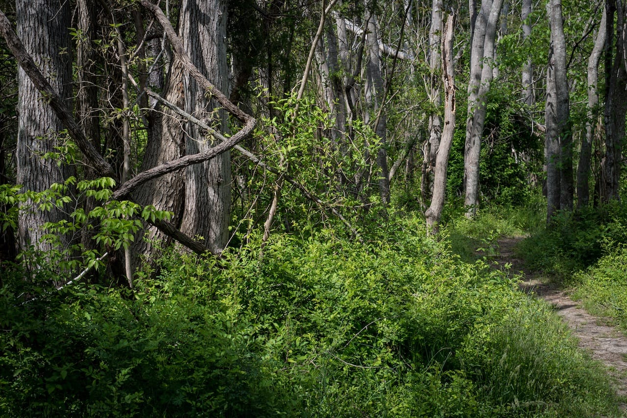 Death Site of John Wilkes Booth, near Port Royal, VA, 2013