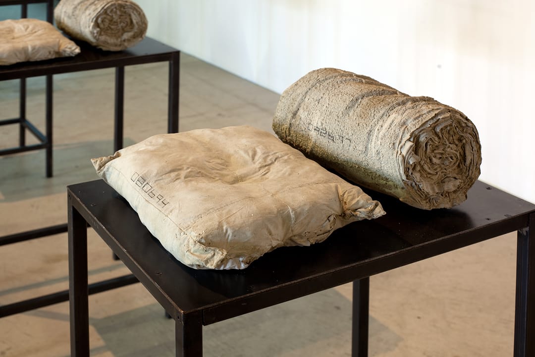 Installation view of Tirtza Even's 'Natural Life' at MOCAD