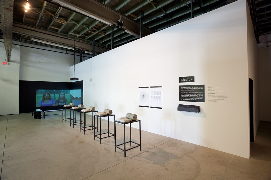 Installation view of Tirtza Even's 'Natural Life' at MOCAD