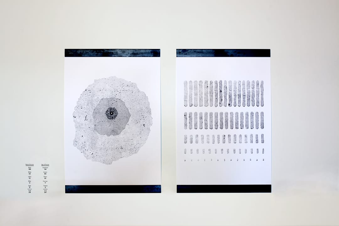 Installation view of Tirtza Even's 'Natural Life' at MOCAD