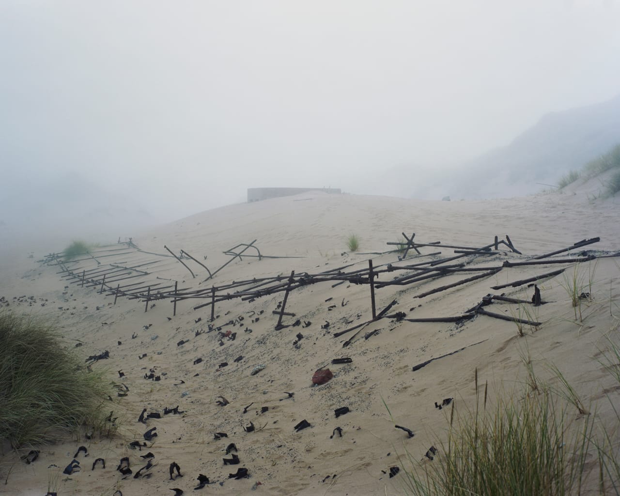 Marc Wilson, "Newburgh II, Aberdeenshire, Scotland" (2012) 