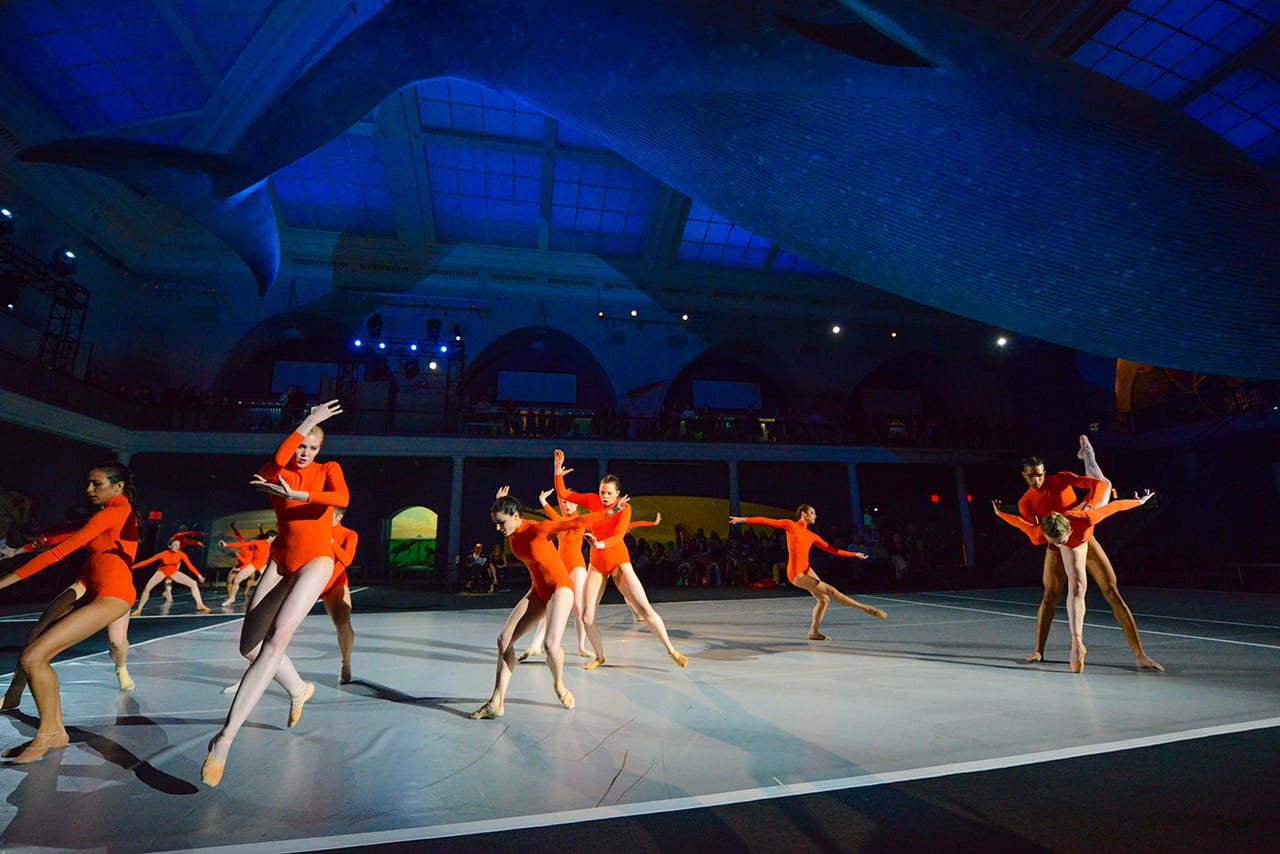 'On the Nature of Things' (all photos by Denis Finnin, © American Museum of Natural History)