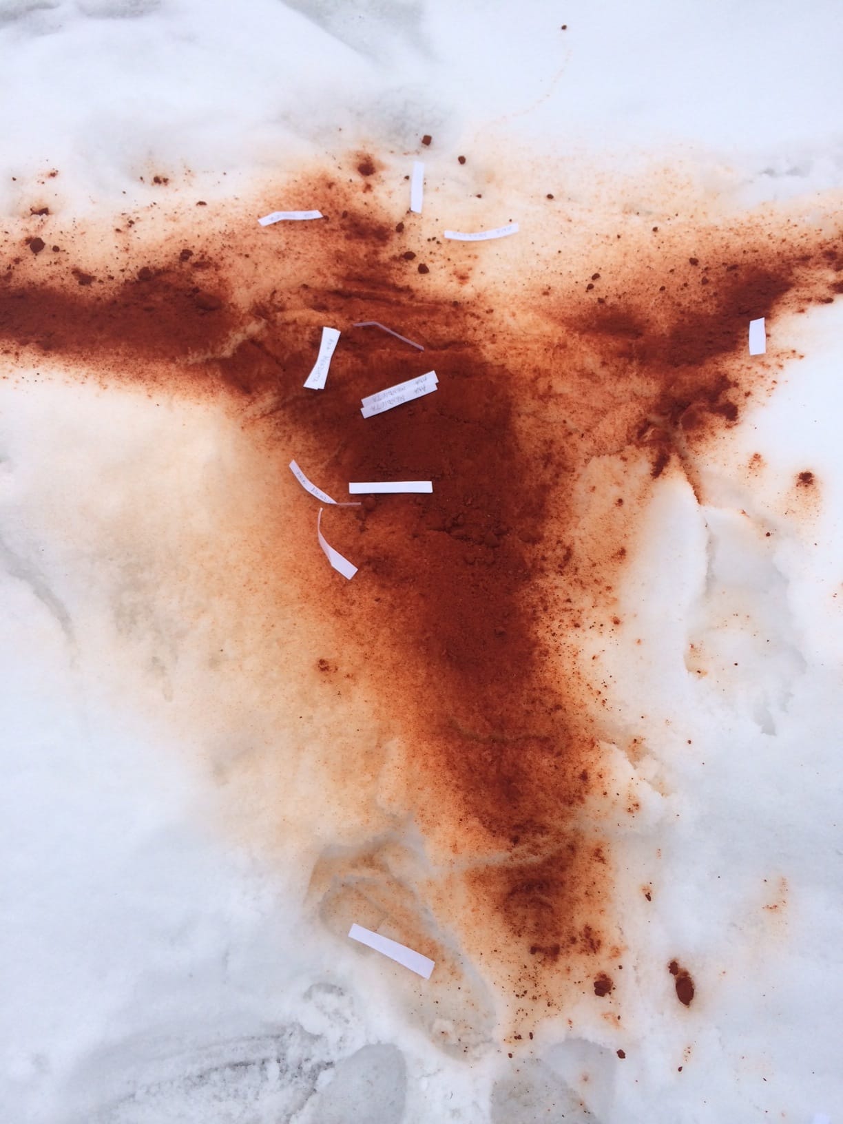 A silueta in honor of Mendieta outside Dia:Beacon (photo by the author for Hyperallergic)