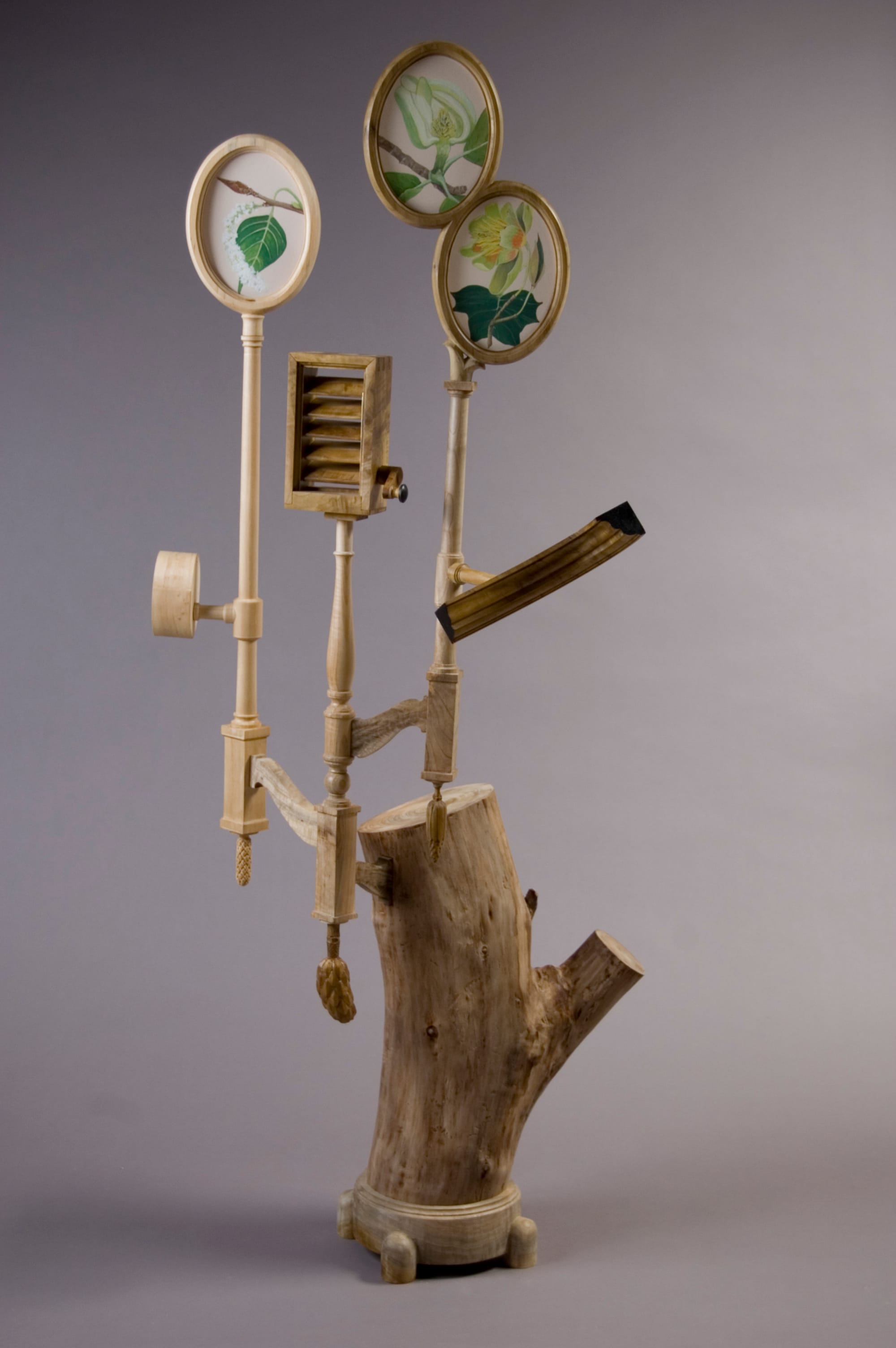 Rose Cucumber Magnolia