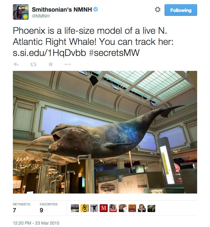 Smithsonian Natural History