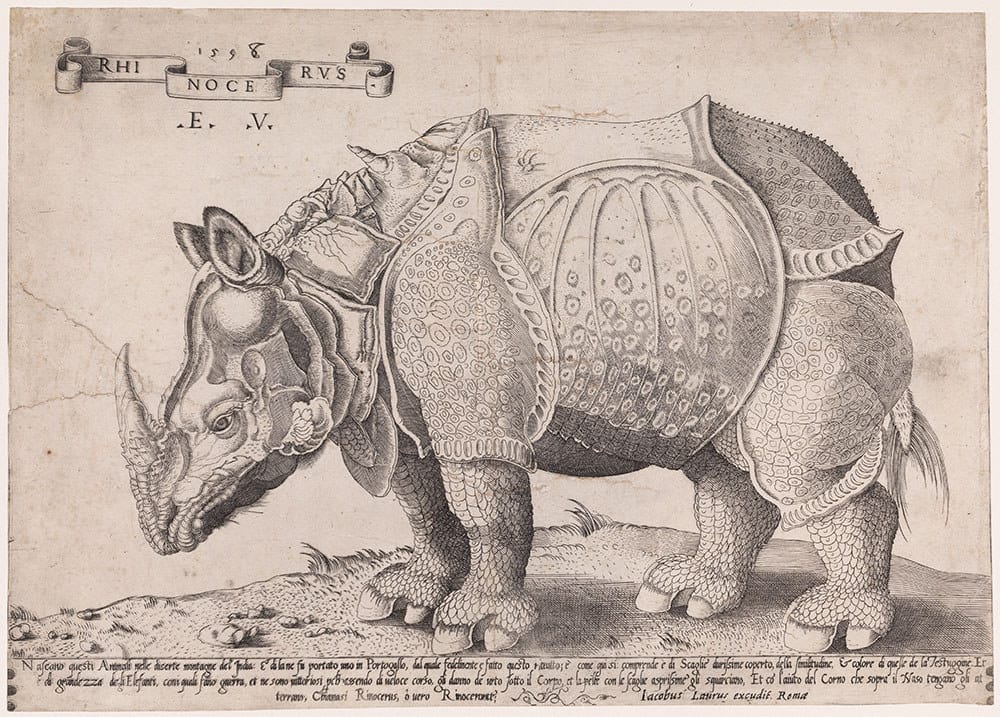 Strange Creatures: The Art of Unknown Animals