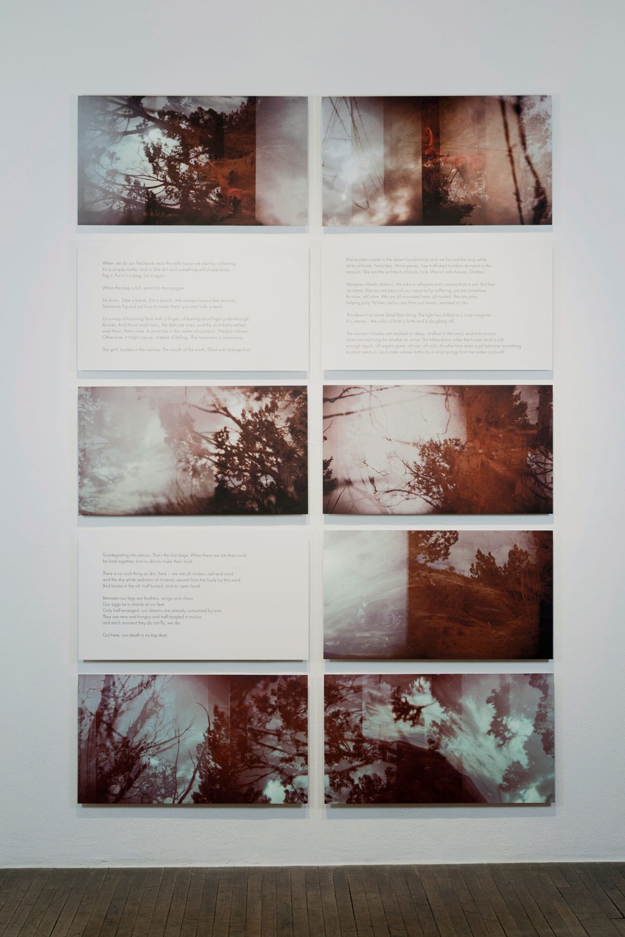 Installation view of Quintan Ana Wikswo's “FIELDWORK” at Ronald Feldman Fine Arts (photo by Casey Dorobek, courtesy Ronald Feldman Fine Arts, New York) (click to enlarge)