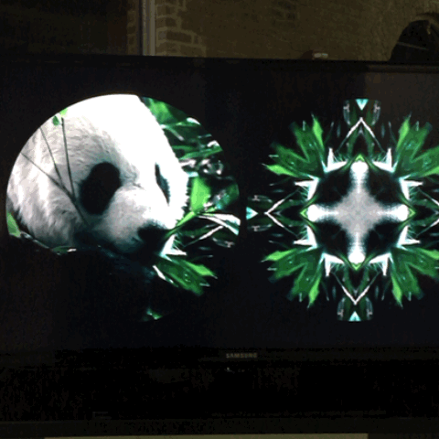 Lelie Thorton "Binocular Series: Panda" (2015)