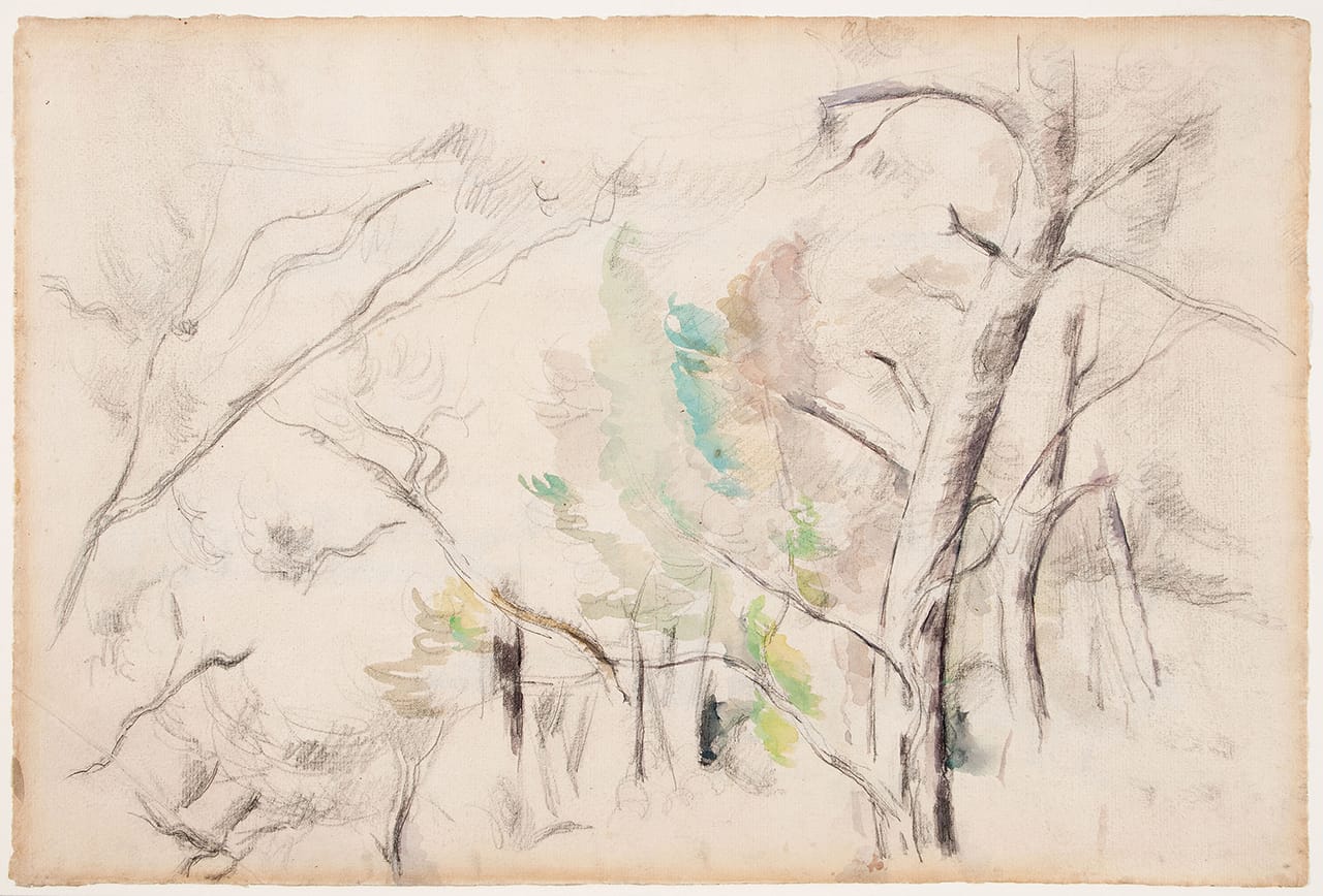 Paul Cézanne, "Trees" (Arbres) (c. 1900, possibly earlier), watercolor and graphite on laid paper, sheet: 12 3/16 x 18 11/16 in (31 x 47.5 cm) (click to enlarge)