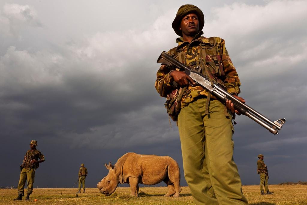 A rhino named Sudan is being guarded by armed rangers in Kenya at every moment of the day because he is the last of his kind on Earth. Sudan is the only male of the northern white rhino subspecies remaining, thanks to ruthless poaching that has reached catastrophic levels in recent years. His species survived for 50 million years. You can donate to help guard him. (via @OlPejeta, more info here)