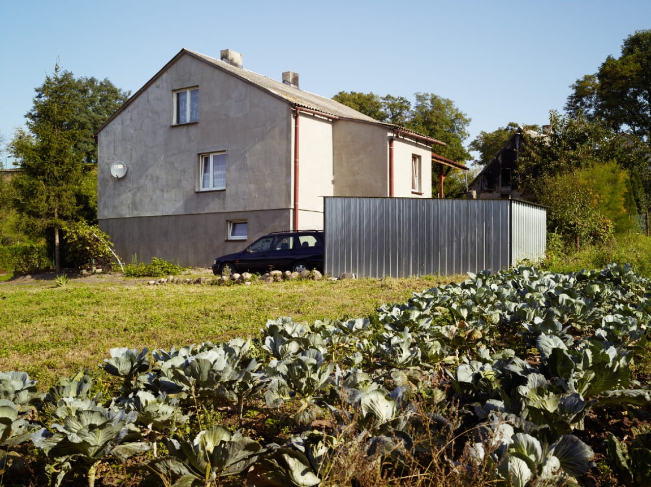 Jego Zaika, "Poland, Chelmno nad Nerem" (2014): Cabbage patch in residential garden near the former Chelmno extermination camp